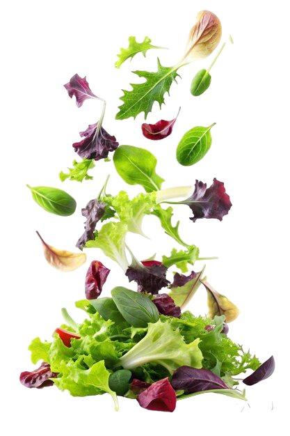 Blattsalat