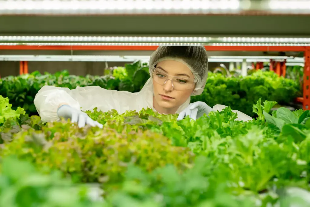 frischwuchs Vertical Farm